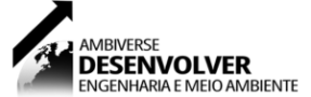 AMBIVERSE logo Canva